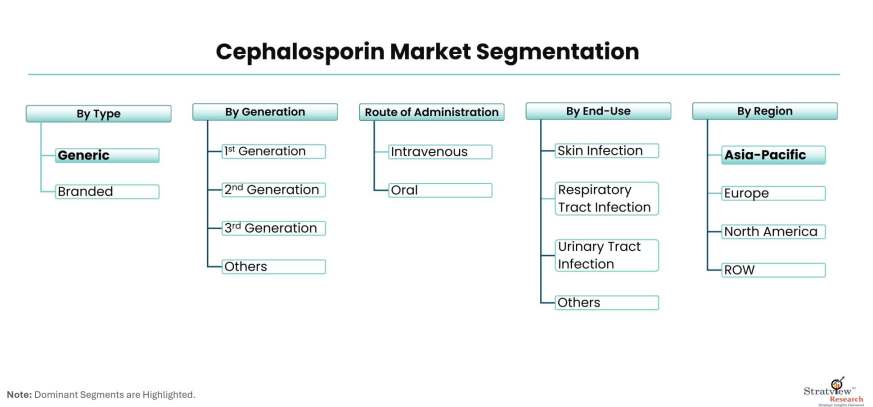 Cephalosporin-Market-Segmentation